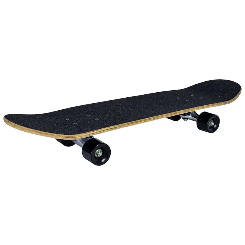 Skateboard Sandbar Shark