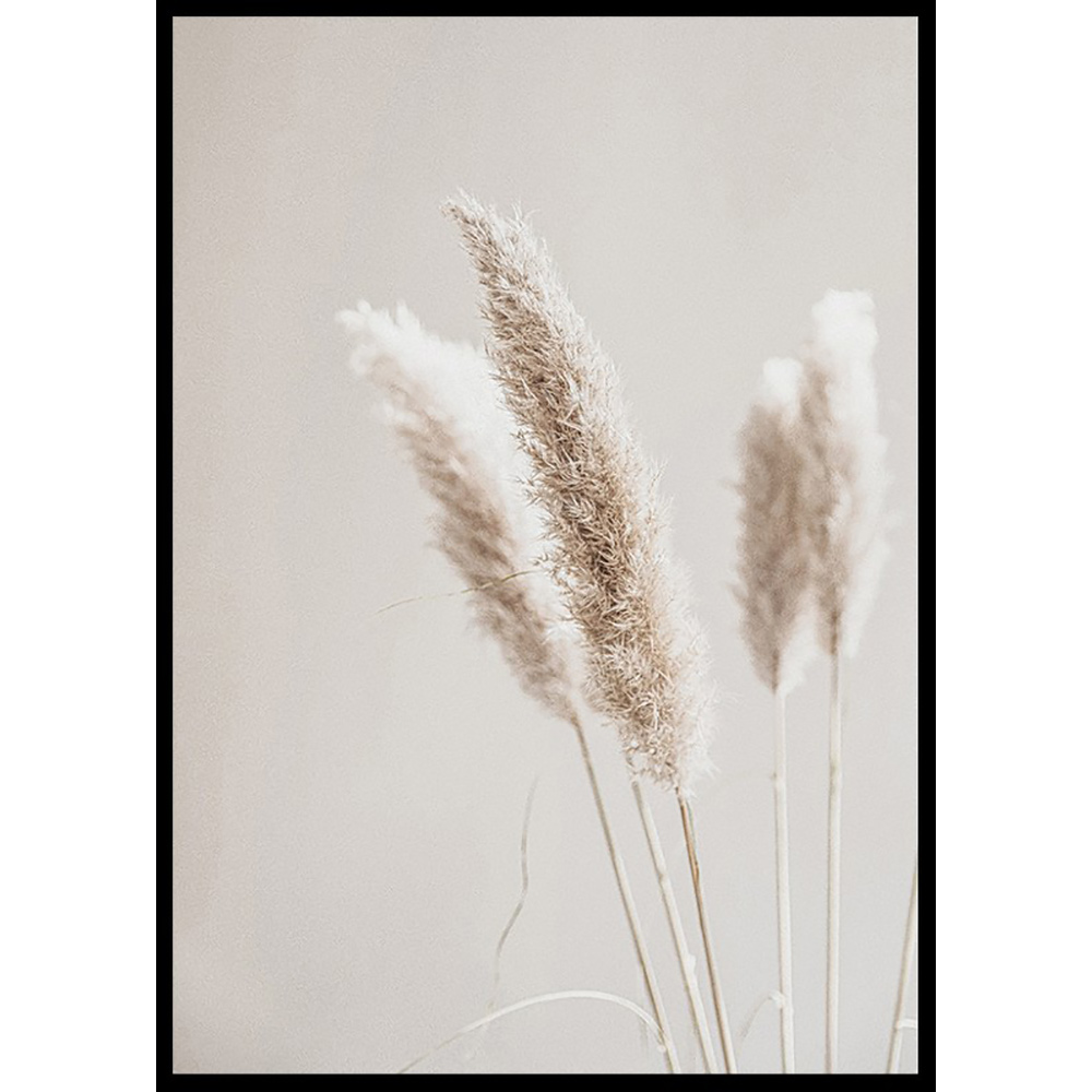 Poster Gallerix Boho Dried In Nature No6