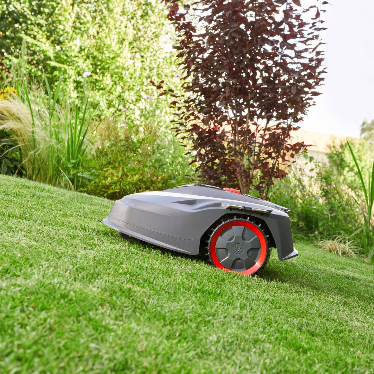 Robotgräsklippare AL-KO Robolinho 350 W - Smart och Effektiv Trädgårdsskötsel