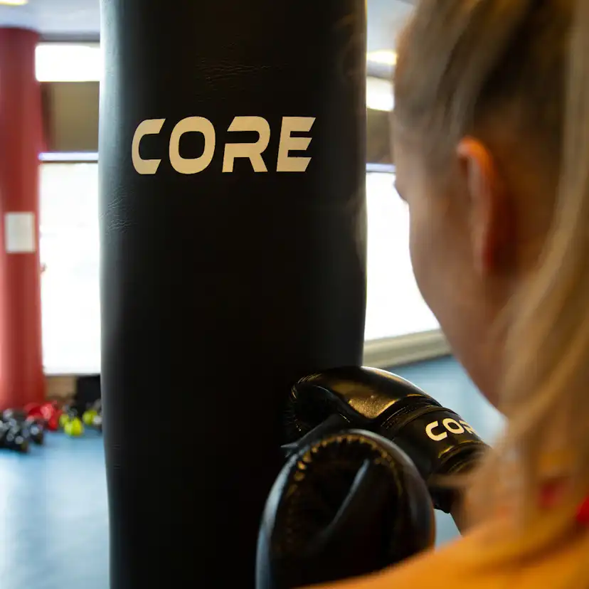 Boxningssäck Core
