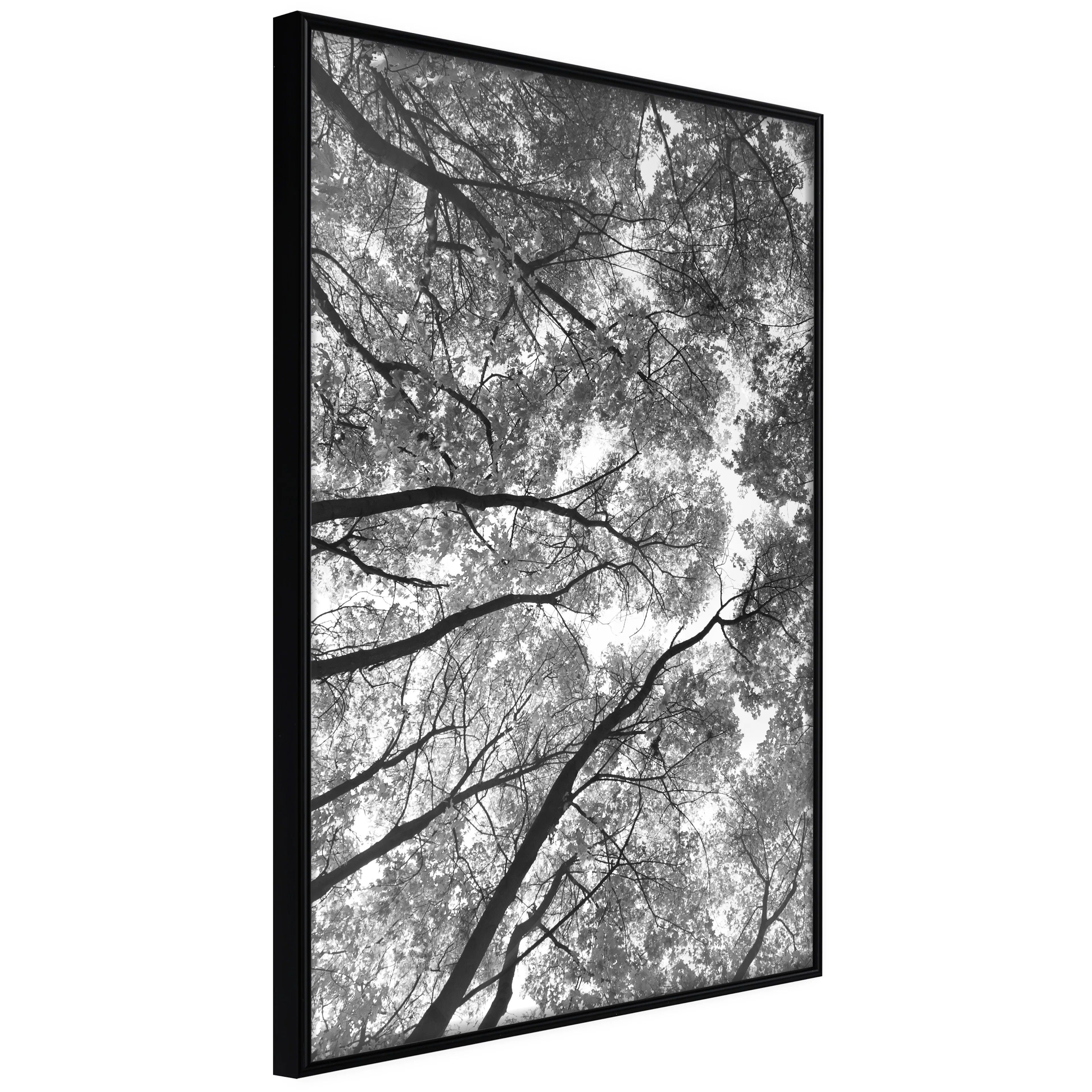 Affisch - High Trees [Poster] 20x30 Svart ram, 20x30 cm