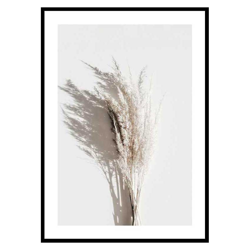 Poster Gallerix Dry Reeds No3