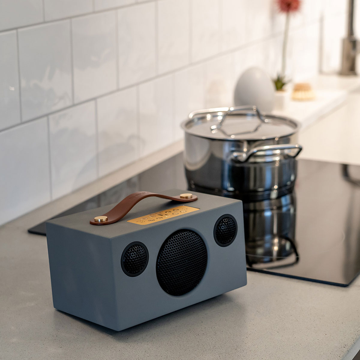 Högtalare Audio Pro C3