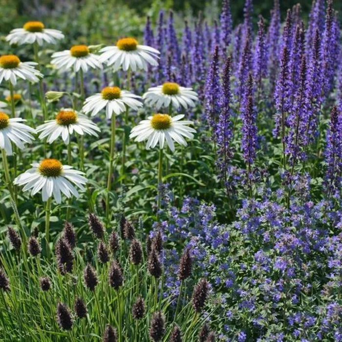 Perenn Omnia Garden Perennpaket Helheten