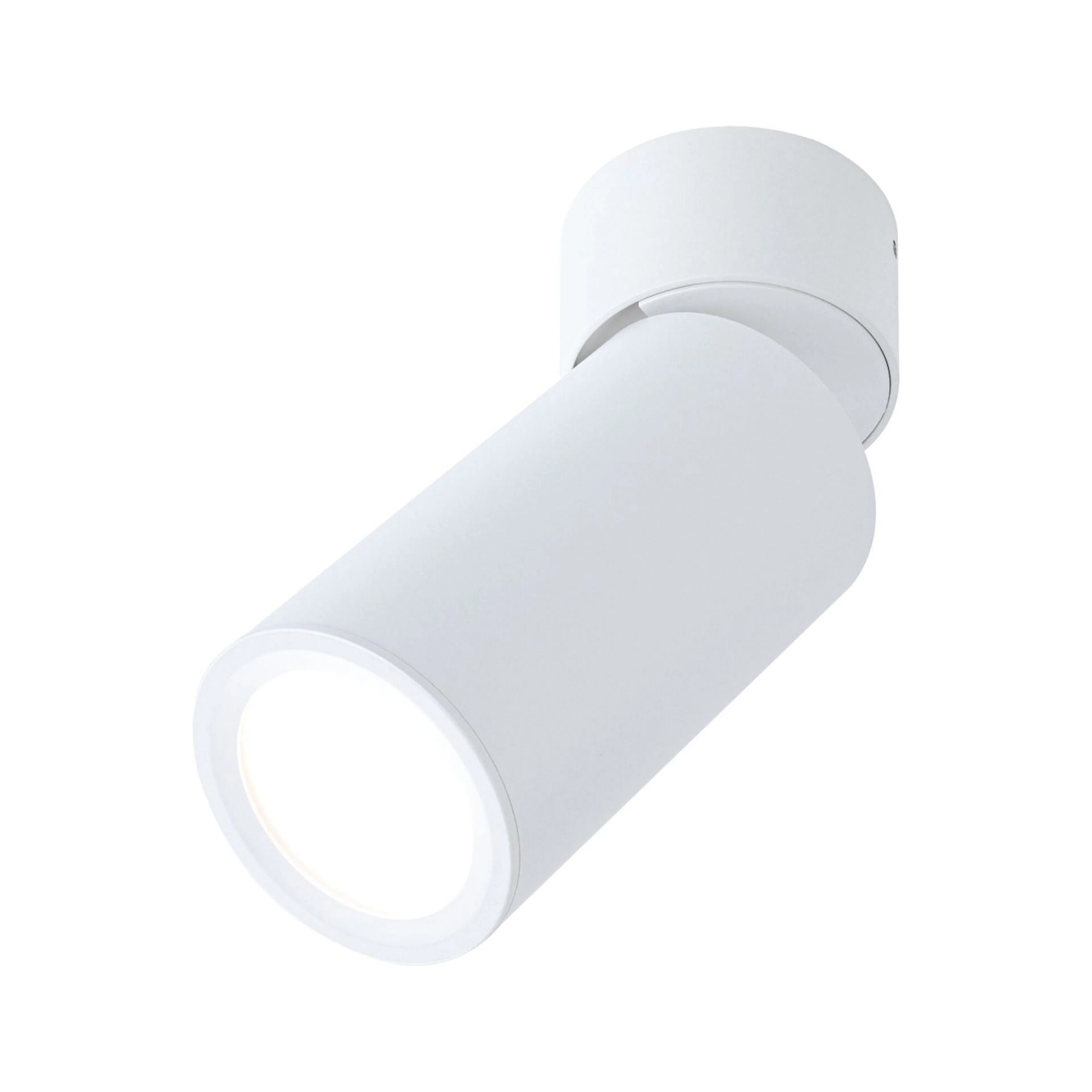 Takspotlight Paulmann Turnal Matt vit