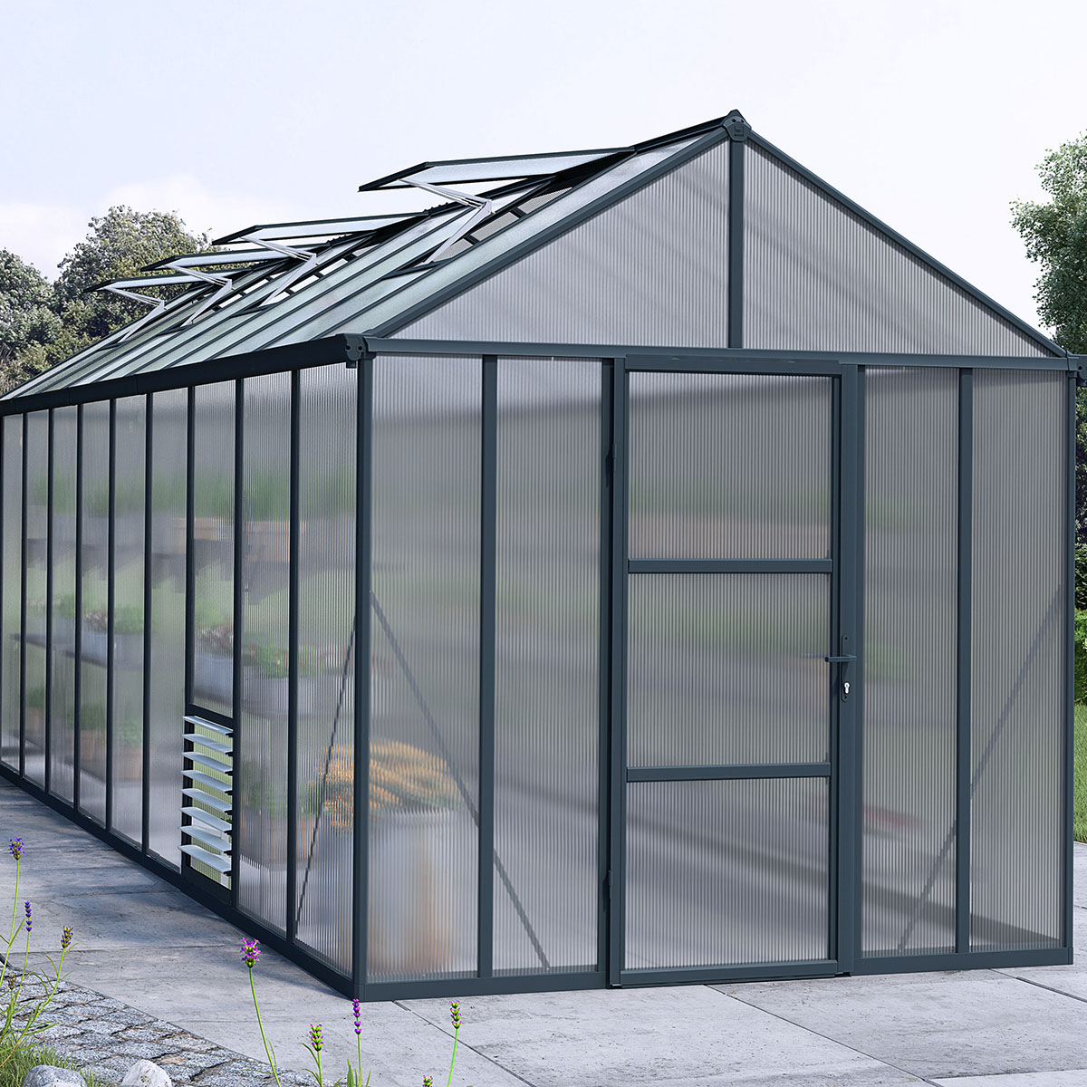 Växthus Canopia by Palram Glory 15,3 m² Mörkgrå
