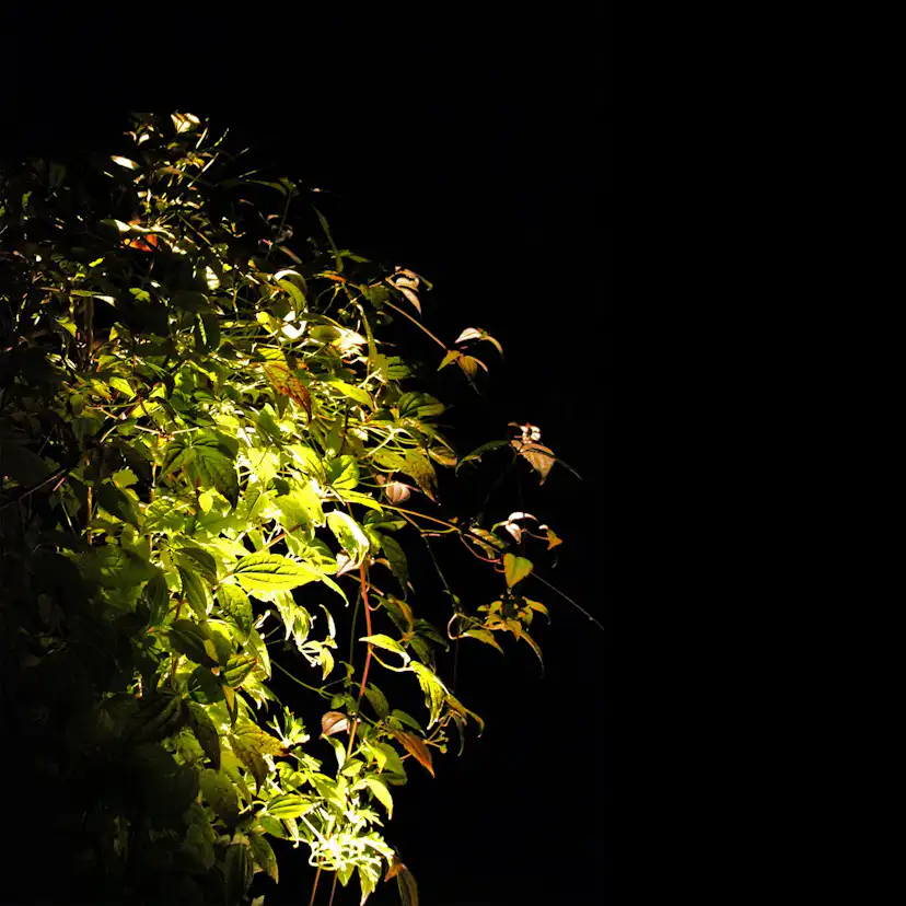 Markspot LightsOn Luminus