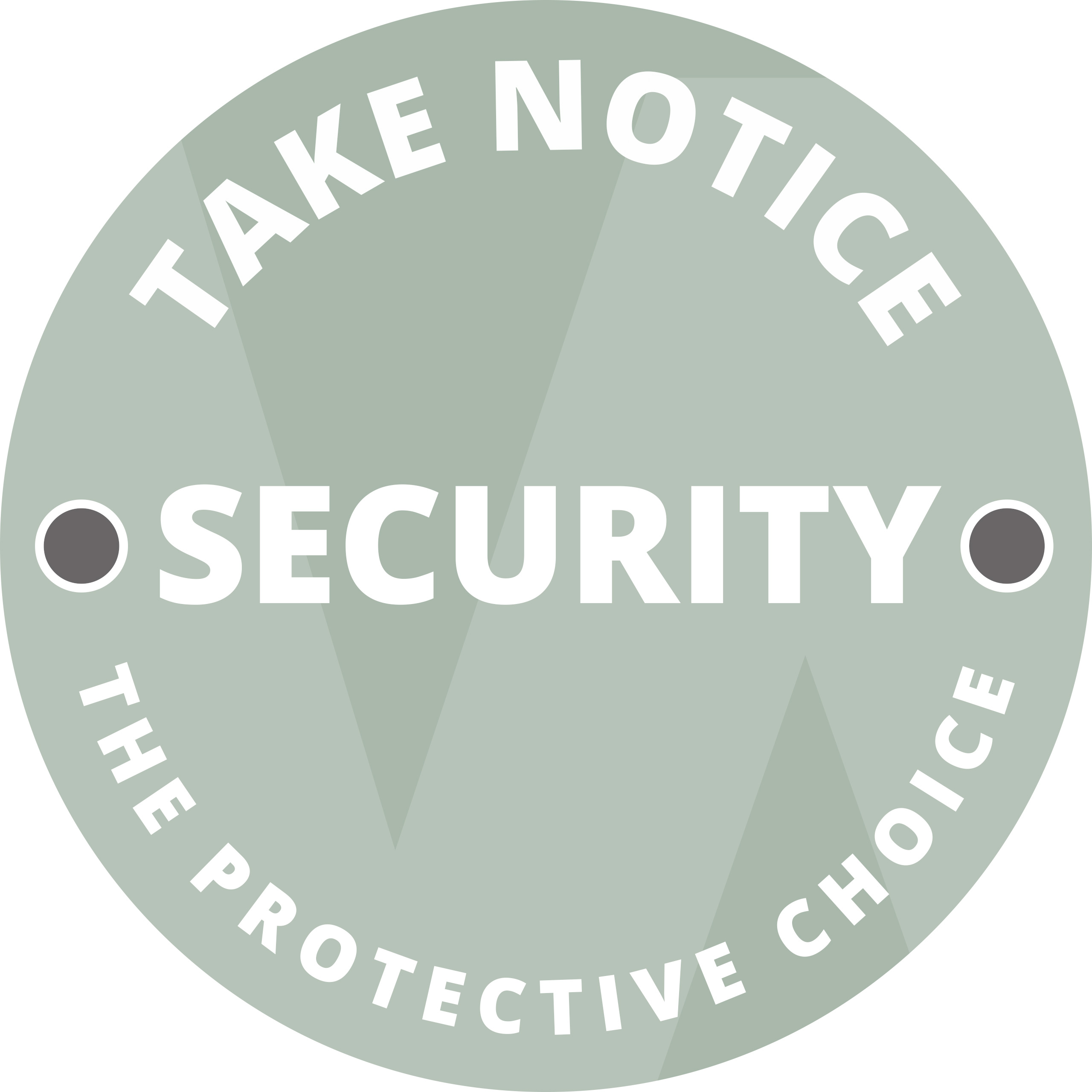 Inbrottsklass Swedoor RC2 Glasad