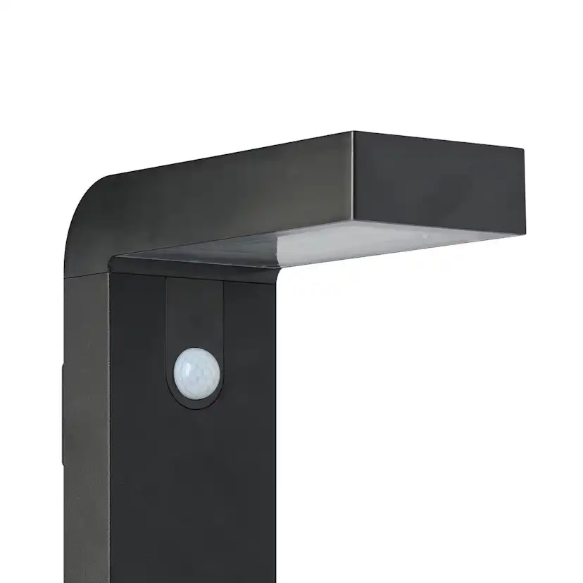 Vägglampa Utebelysning Eglo Baracconi med Sensor