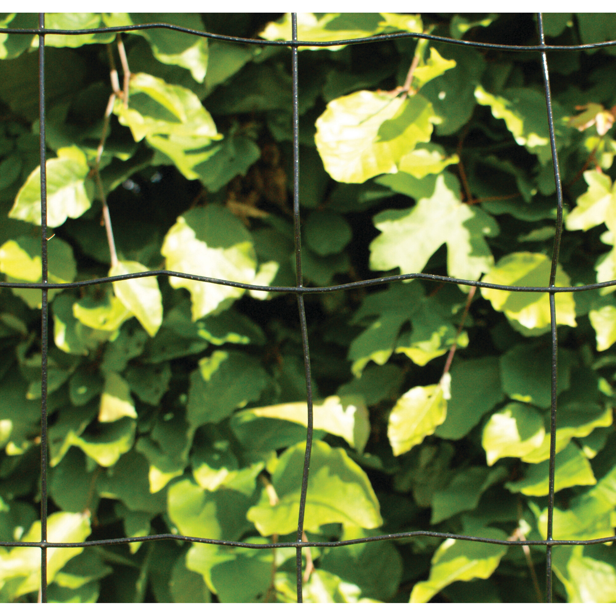 Stängsel Hortus Svart 20x0,9 m Med Maskor 10x10 cm