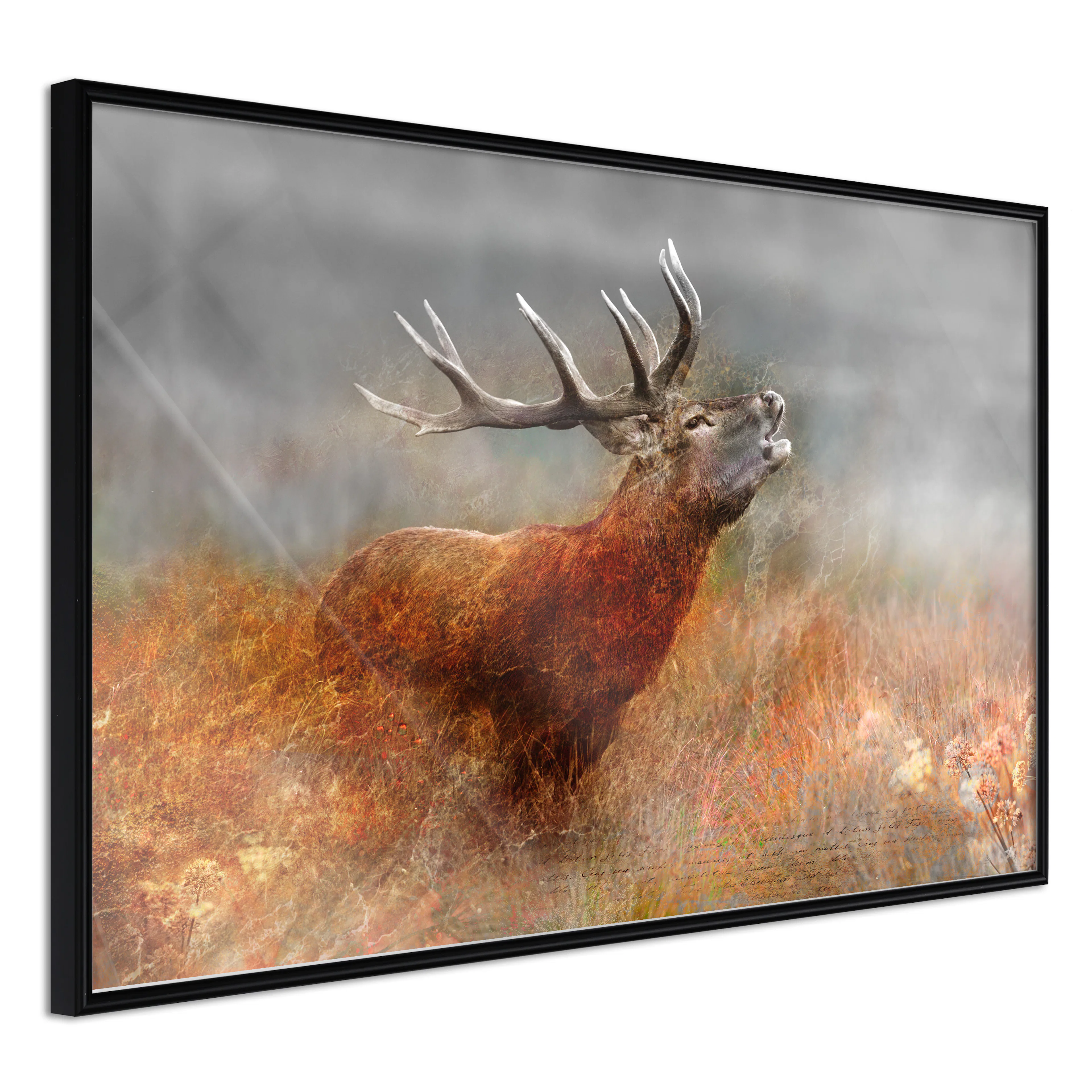 Affisch - Roaring Deer [Poster] 30x20 Svart ram, 30x20 cm