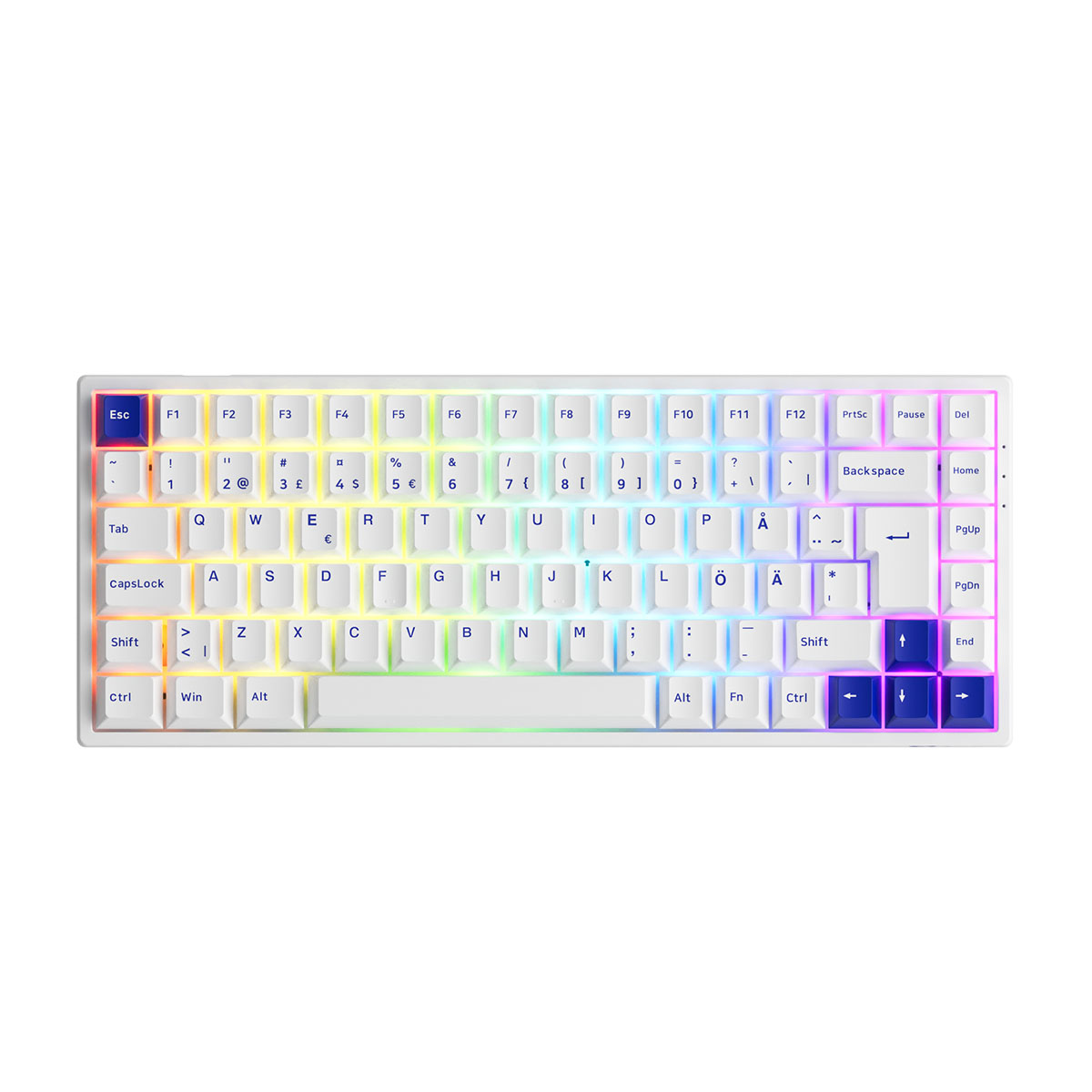 6925758621564 Blå/Vit, Brytare: Akko CS Jelly Pink