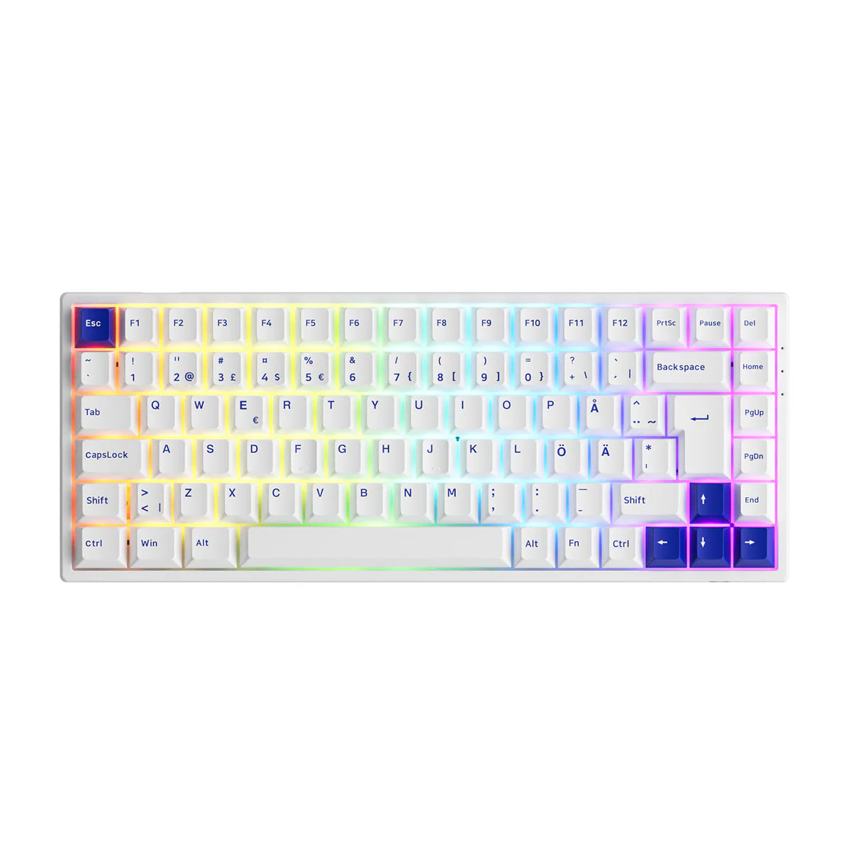 6925758621564 Blå/Vit, Brytare: Akko CS Jelly Pink