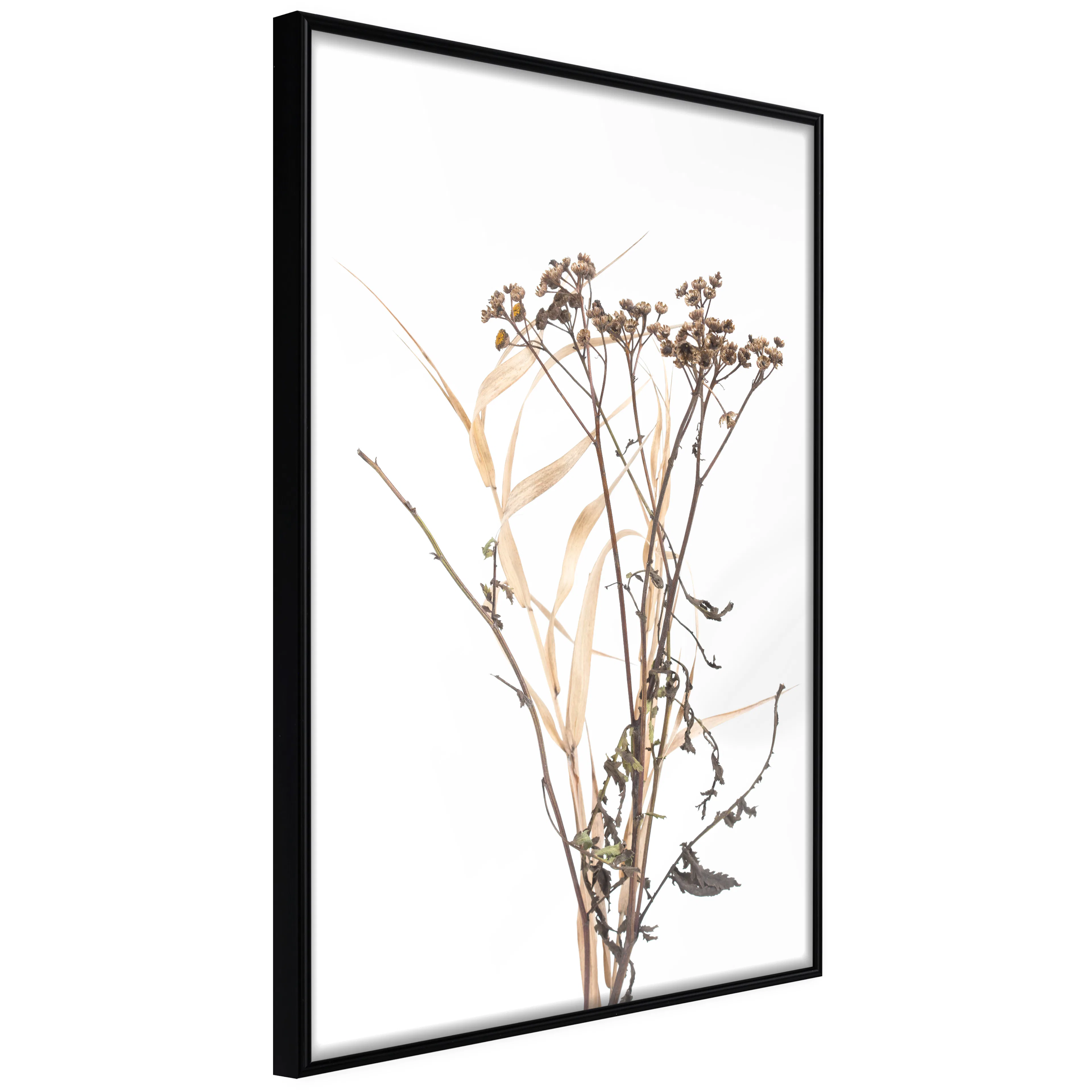 Affisch - Camomile [Poster] 20x30 Svart ram, 20x30 cm