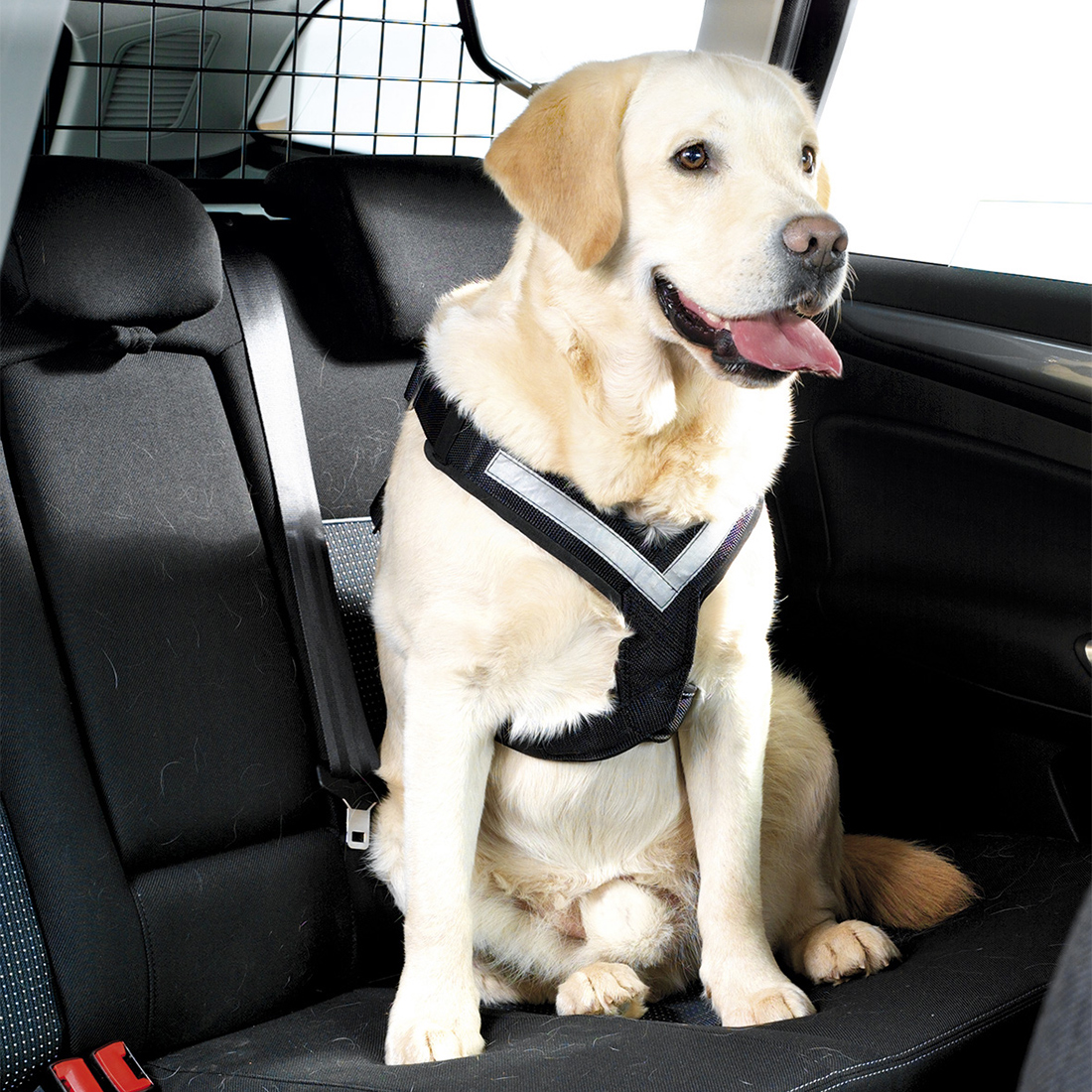 Hundsele MIM AllSafe XL