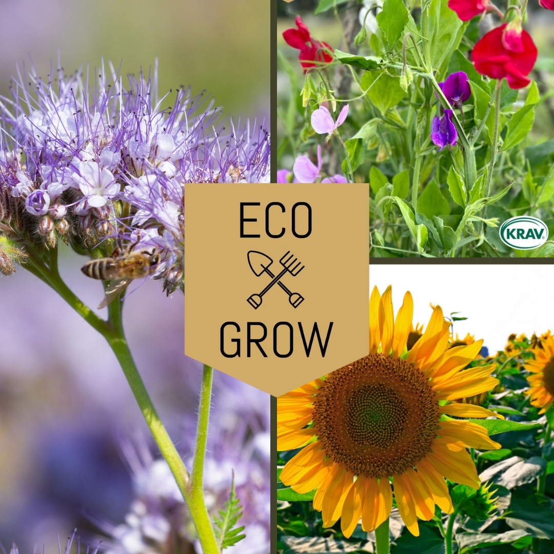 Blomfröer Eco Grow Pollinatörmix - Blommor för Bin 3-pack