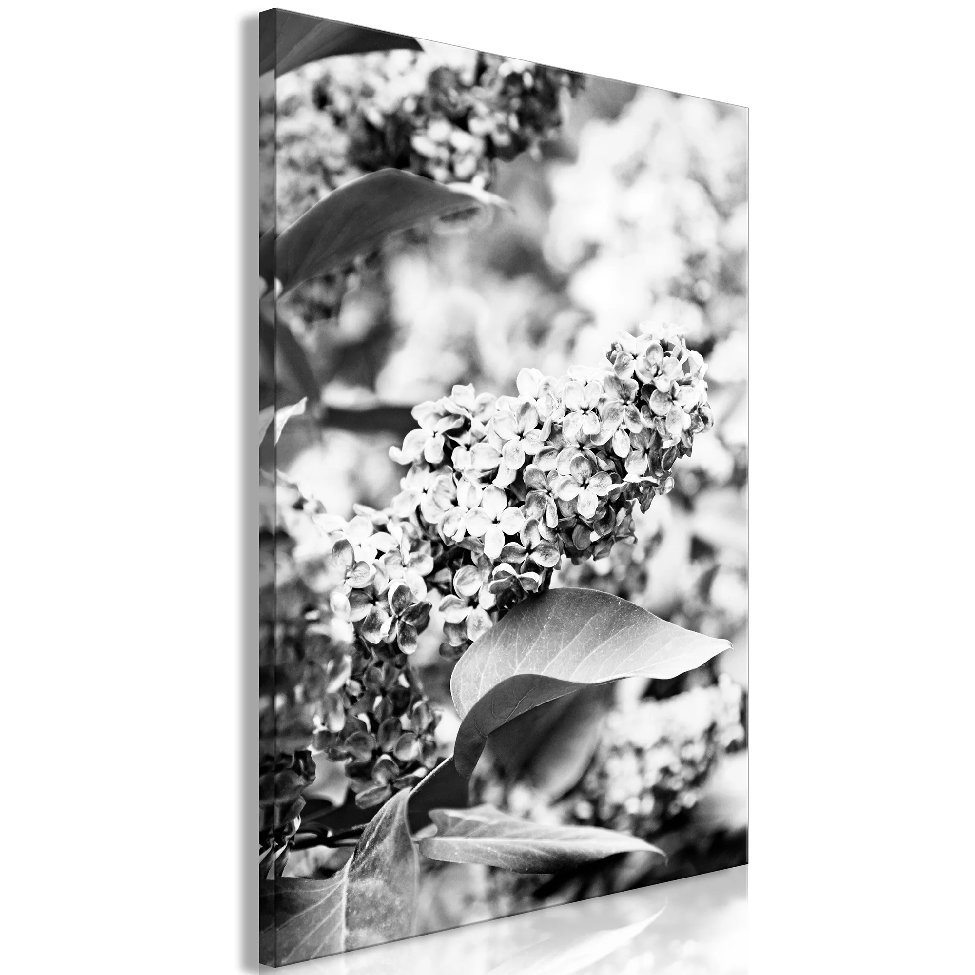 Tavla Arkiio Monochrome Lilac