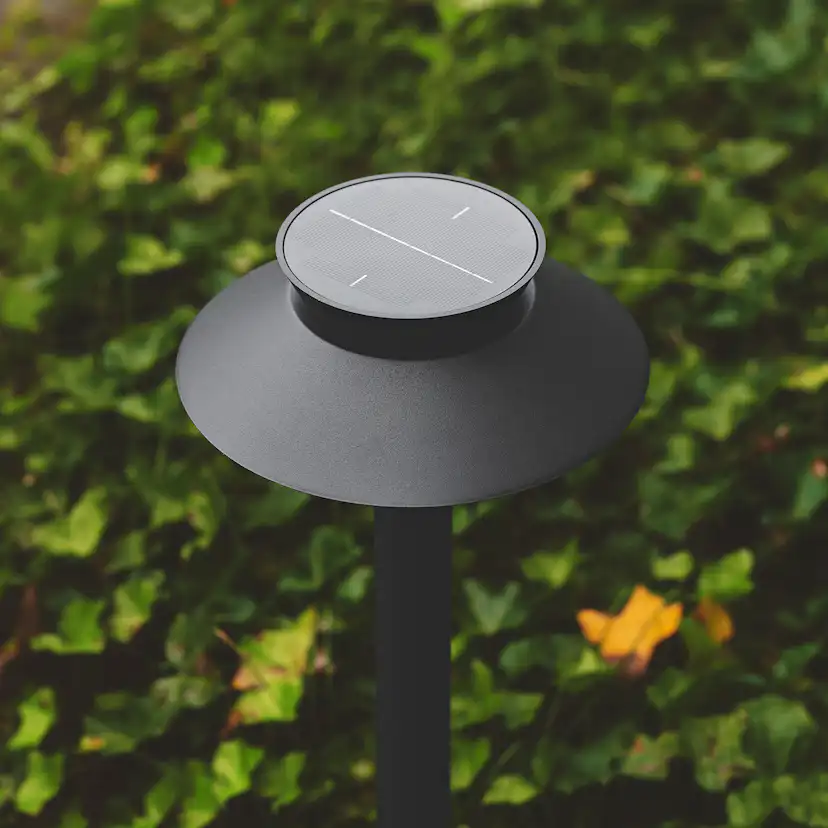 Justina Solar | Pollare | Svart Svart
