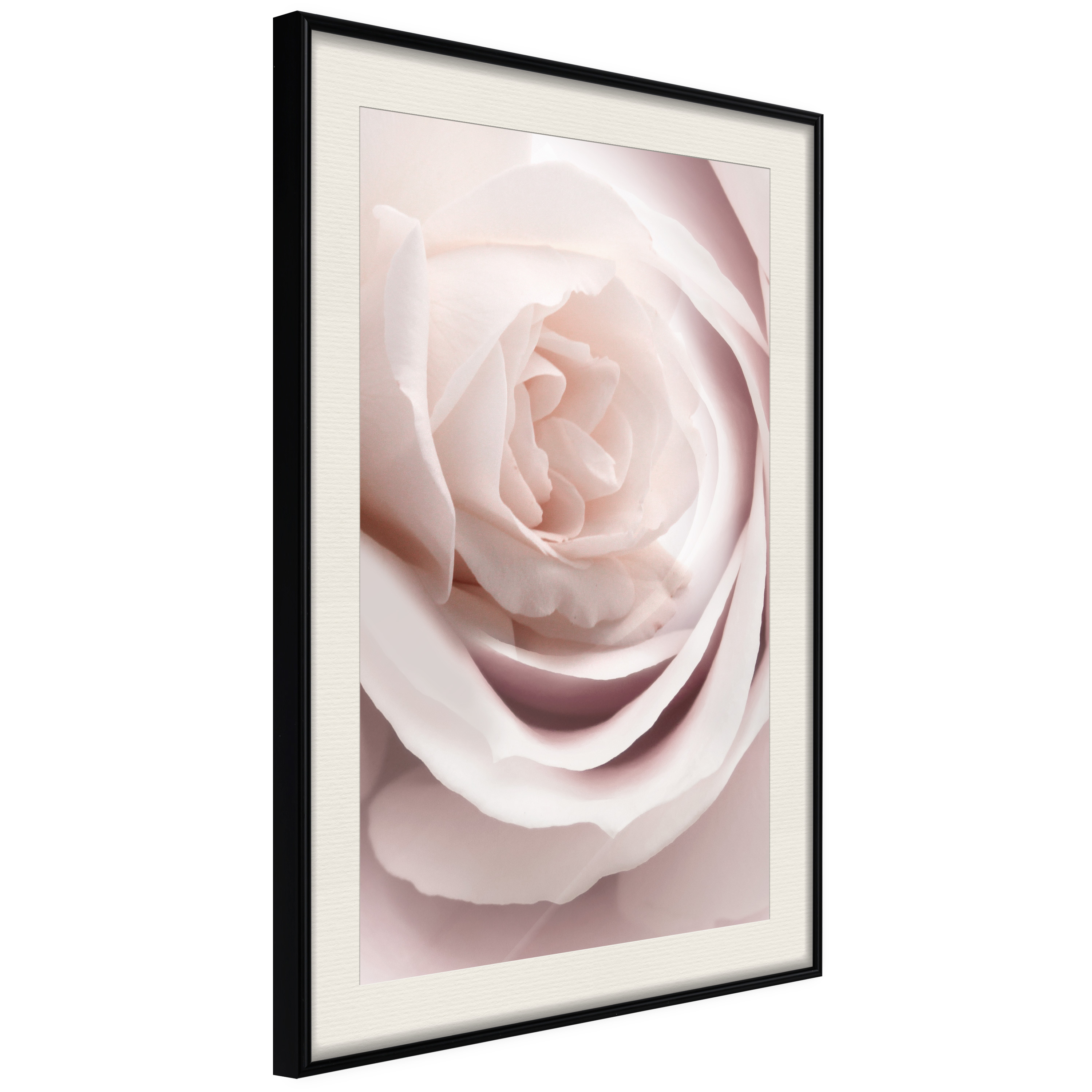 Poster Artgeist Affisch Porcelain Rose