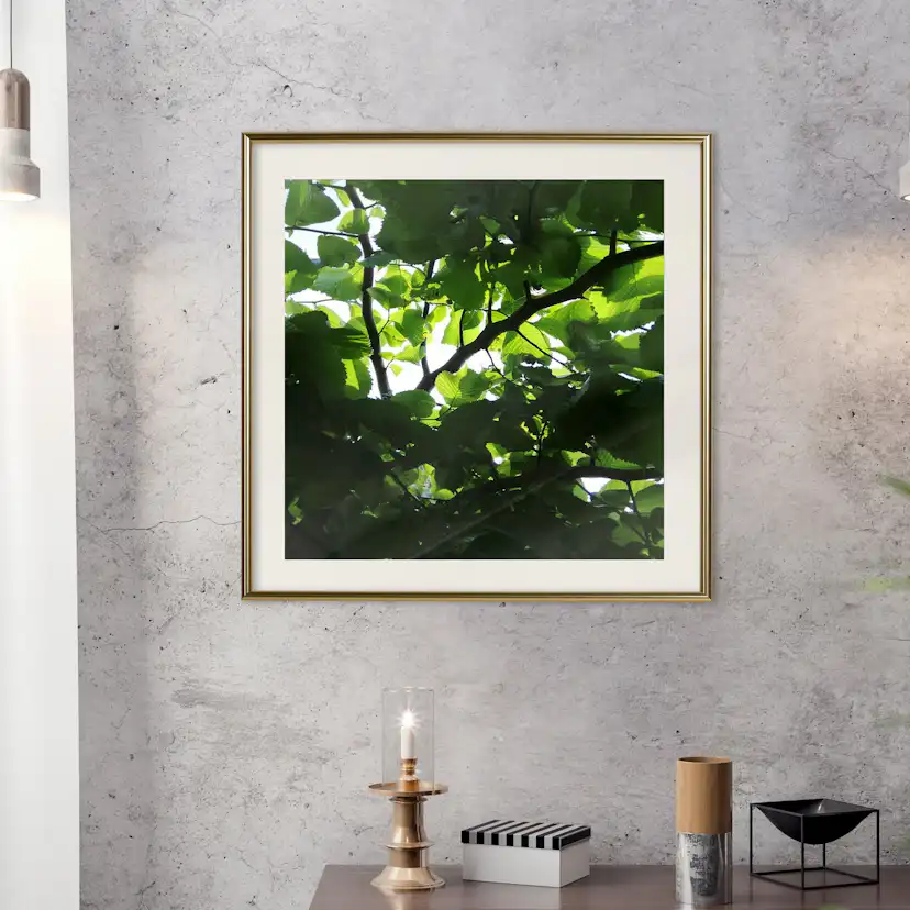 Poster Artgeist Affisch Dawn