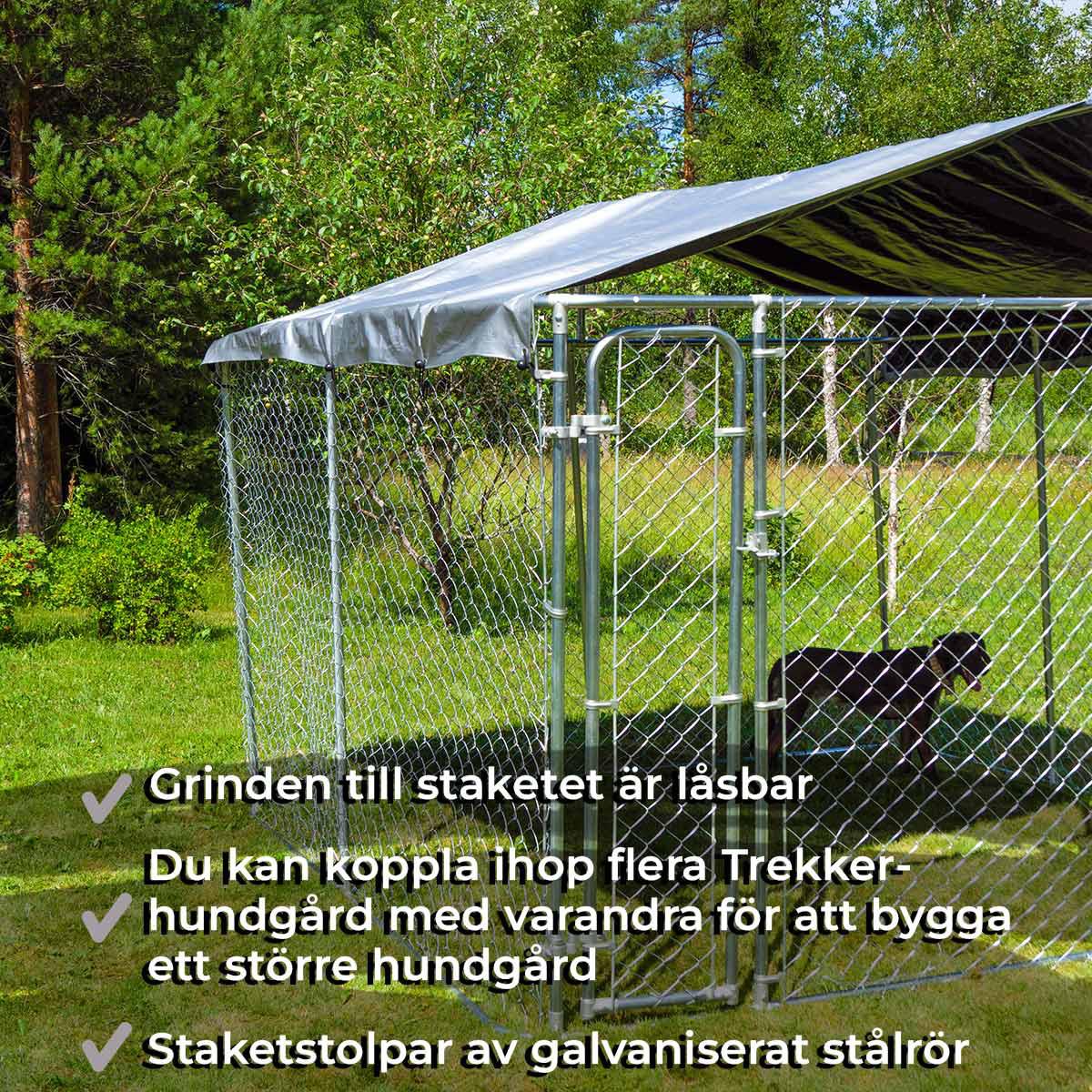 Trekker hundgård med tak, 6 x 3m 6x3 m