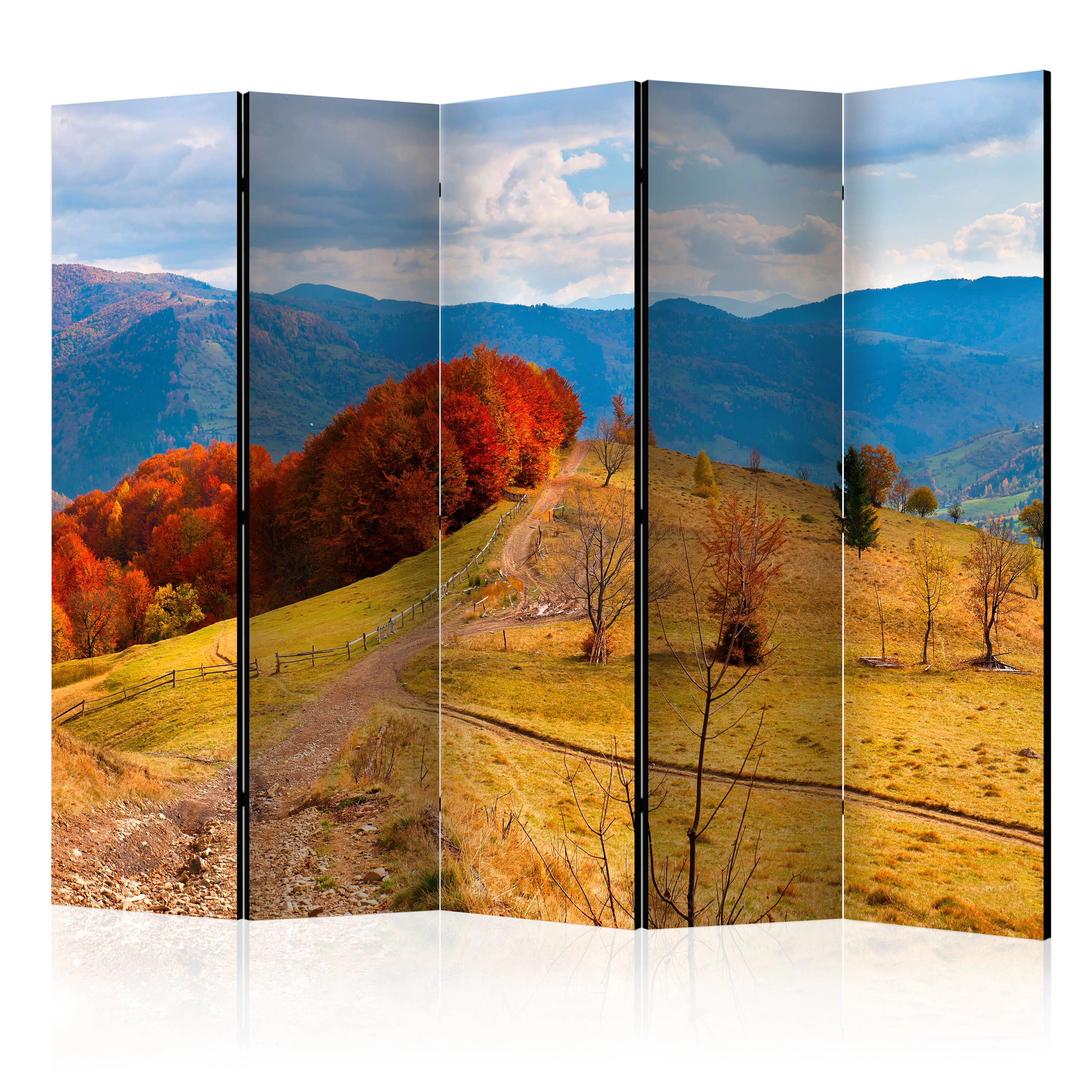 Rumsavdelare Skärmvägg Arkiio Autumn Landscape In The Carpathian Mountains II 225x172 cm