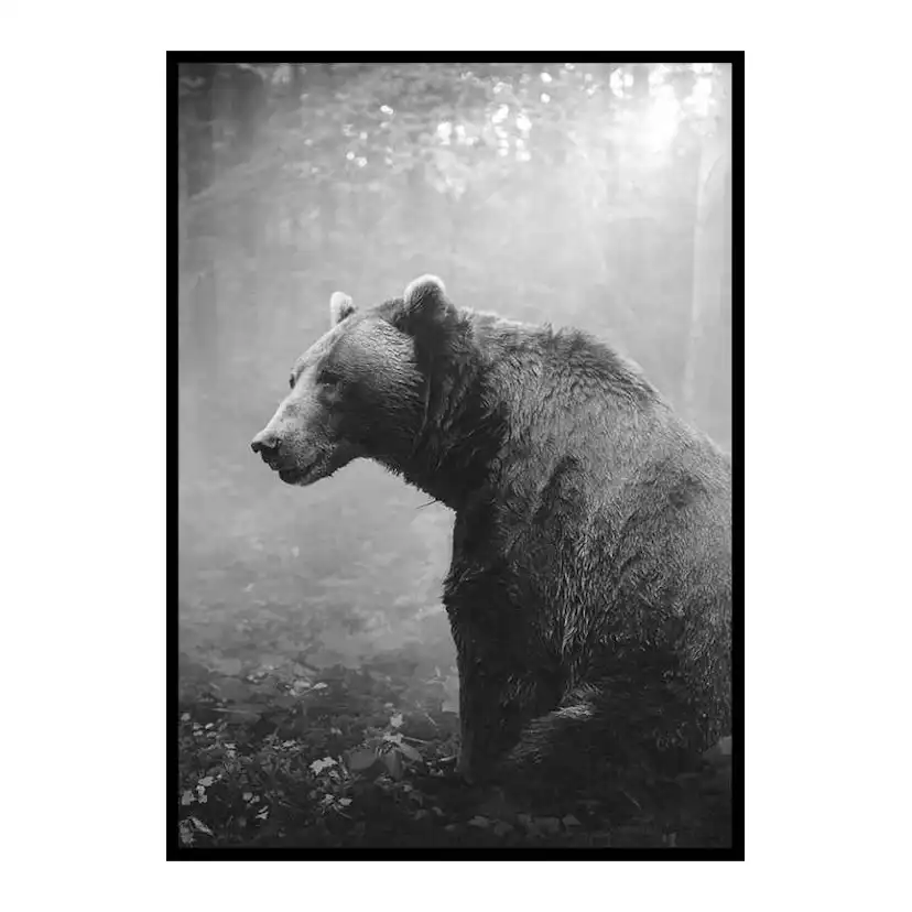 Grizzly Bear 30x40 cm