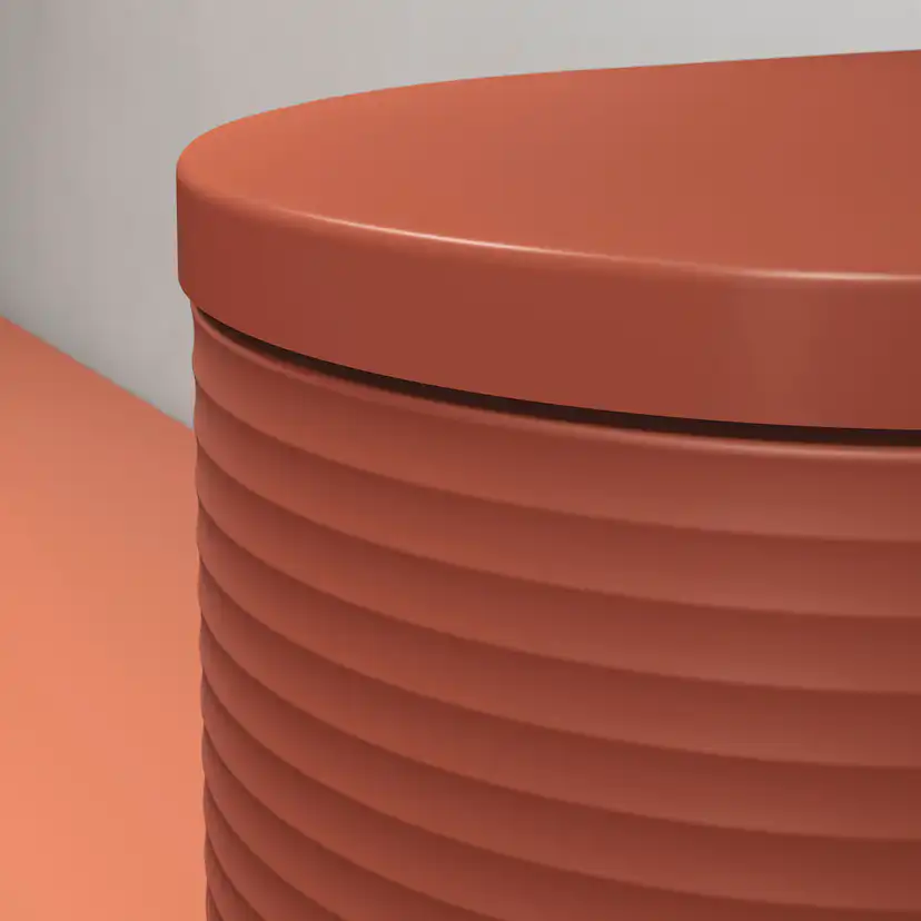 Vägghängd Toalettstol Duravit Millio Grooves