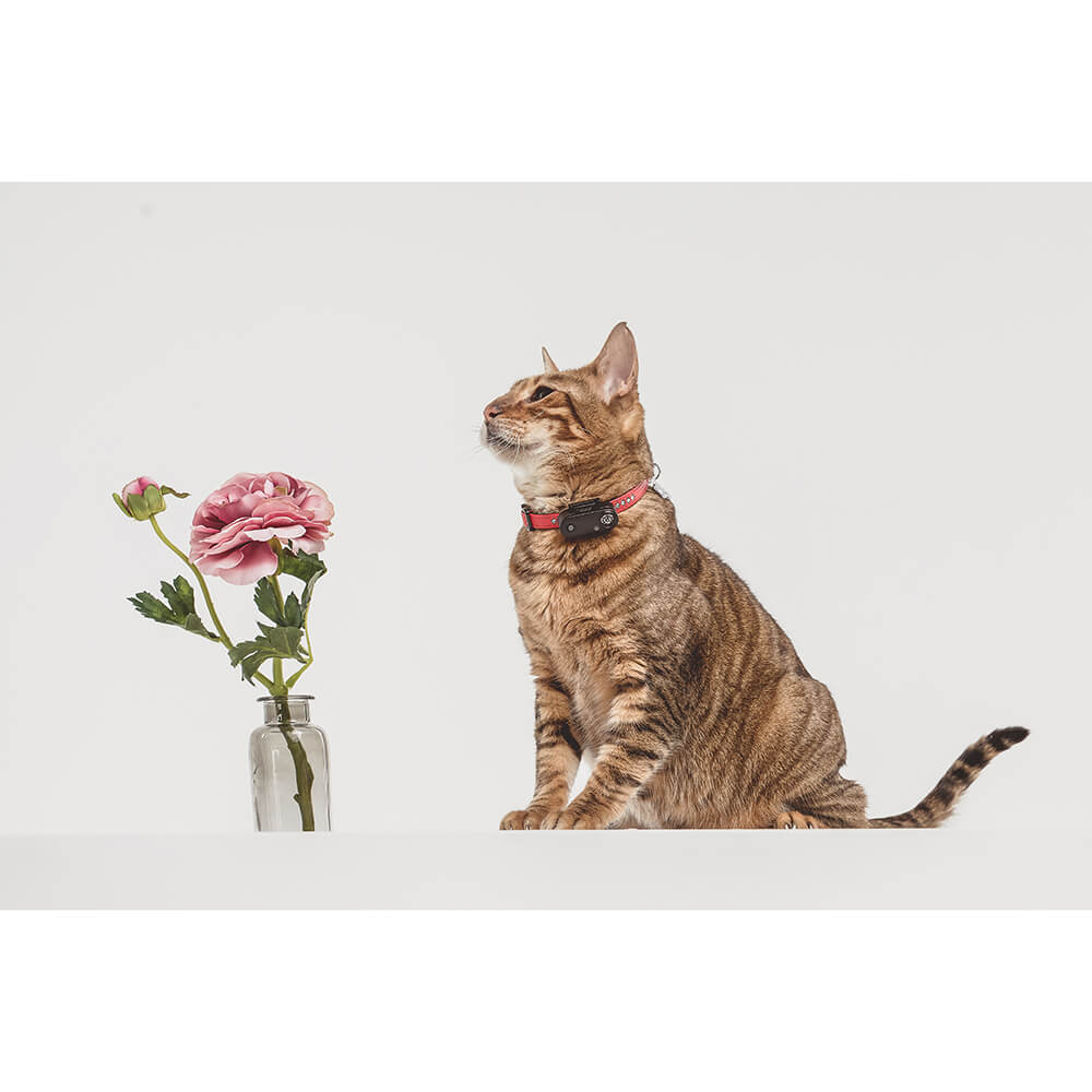 Fästingskydd TICKLESS Mini Katt Radie 2,5 m