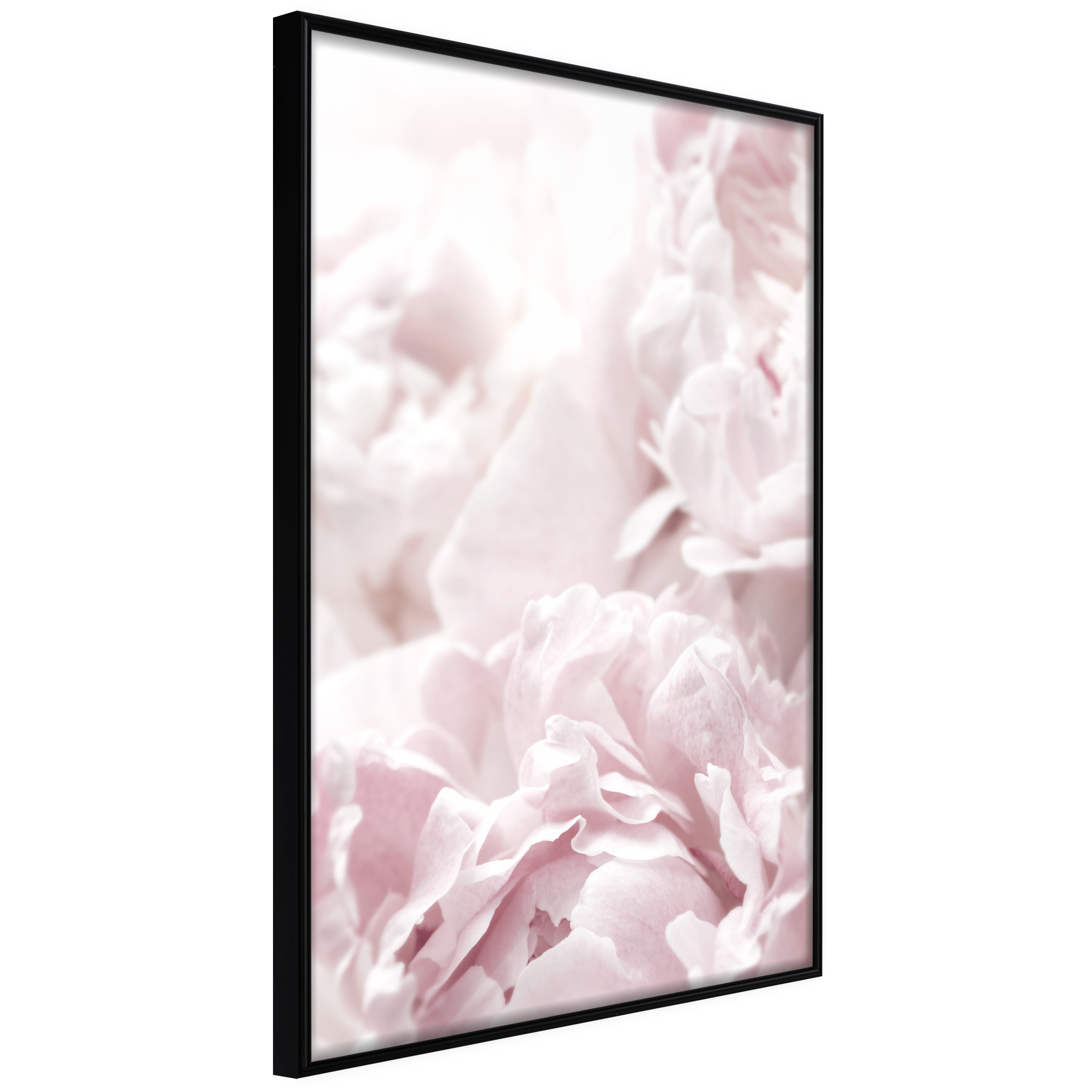 Affisch - Fluffy Peonies [Poster] 20x30 Svart ram, 20x30 cm