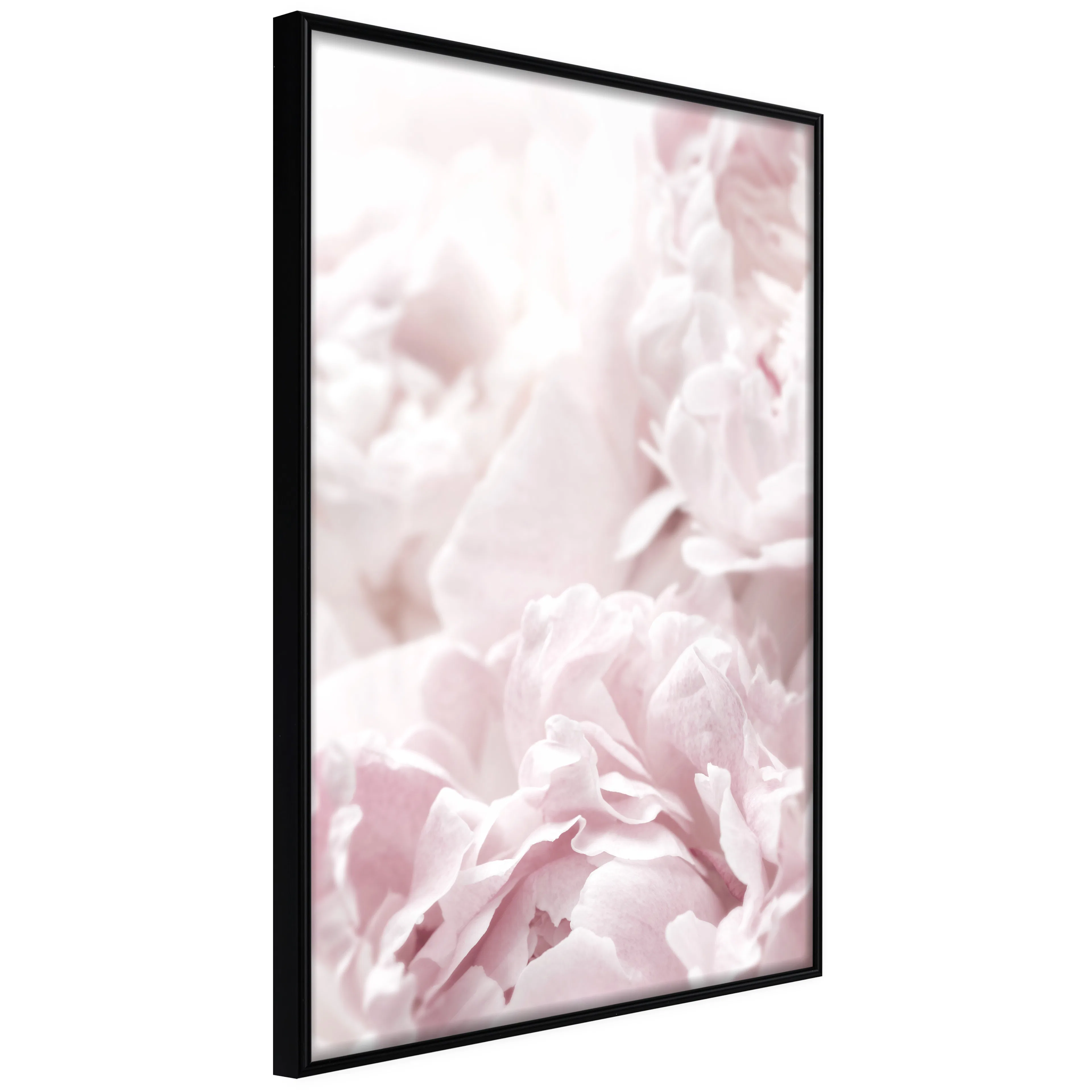 Poster Artgeist Affisch Fluffy Peonies