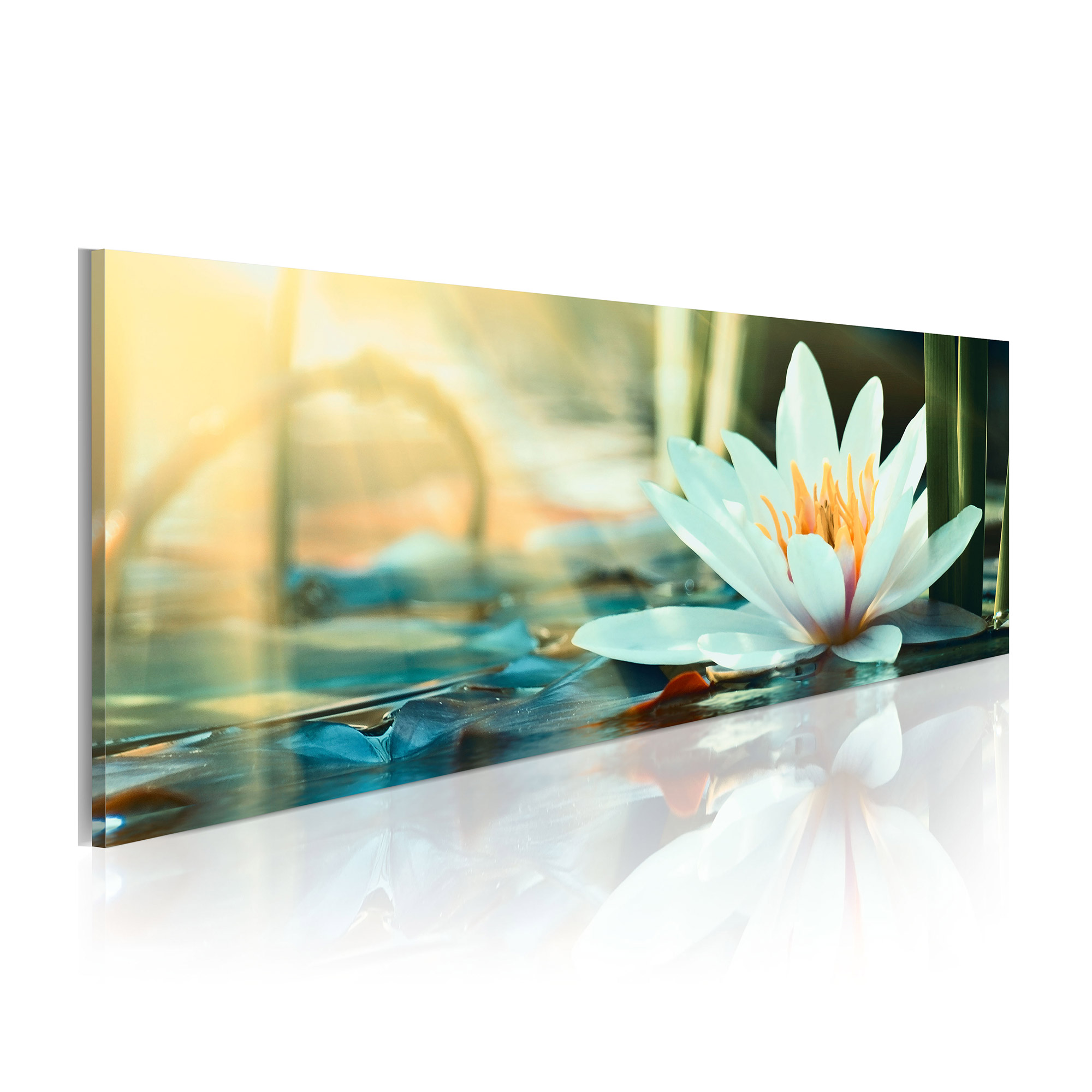 Tavla Arkiio The Lake Of Lotus