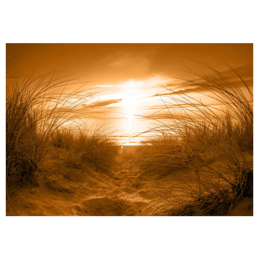 beach (sepia) 300x210 Storlek: 300x210 cm