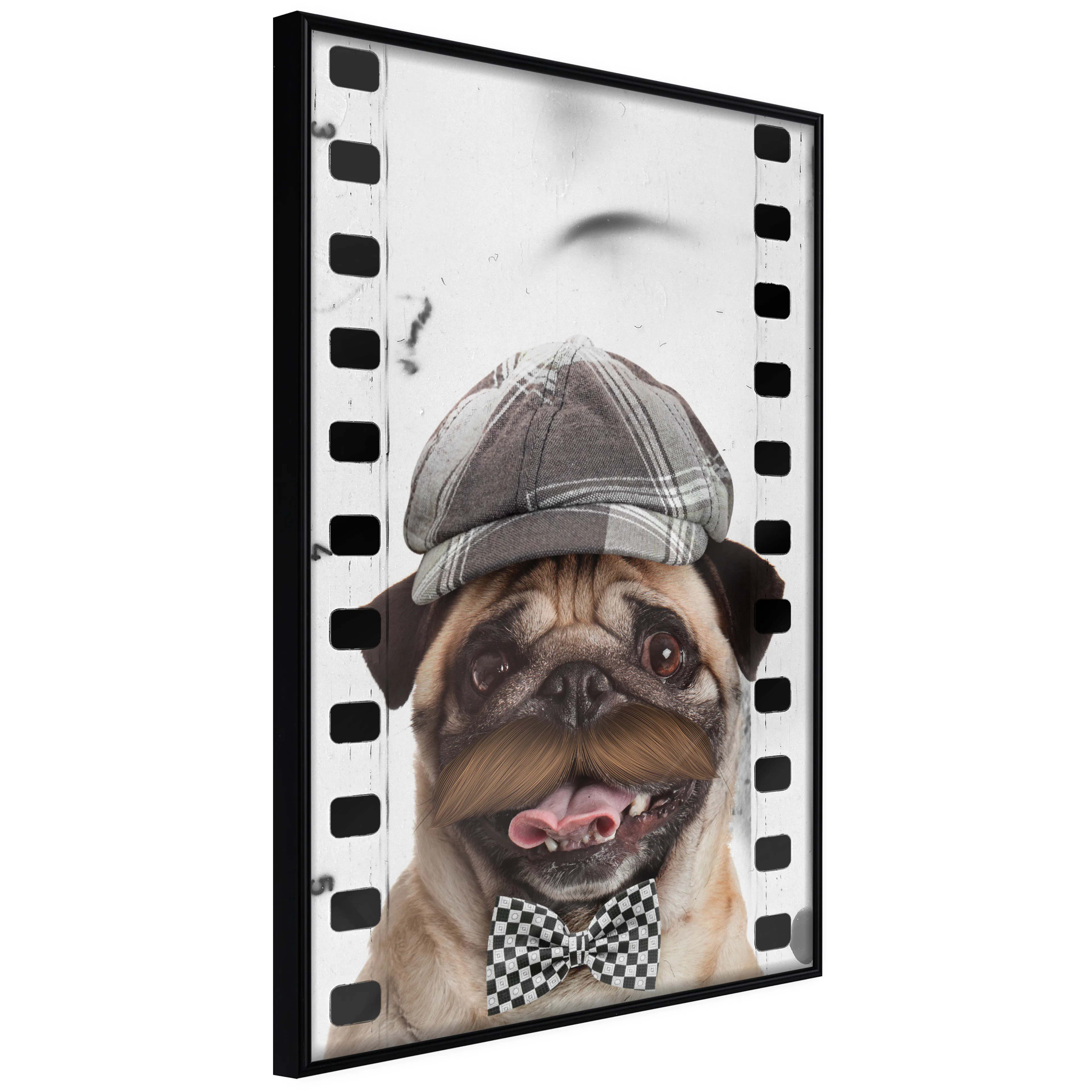 Affisch - Pug In Hat [Poster] 20x30 Svart ram, 20x30 cm