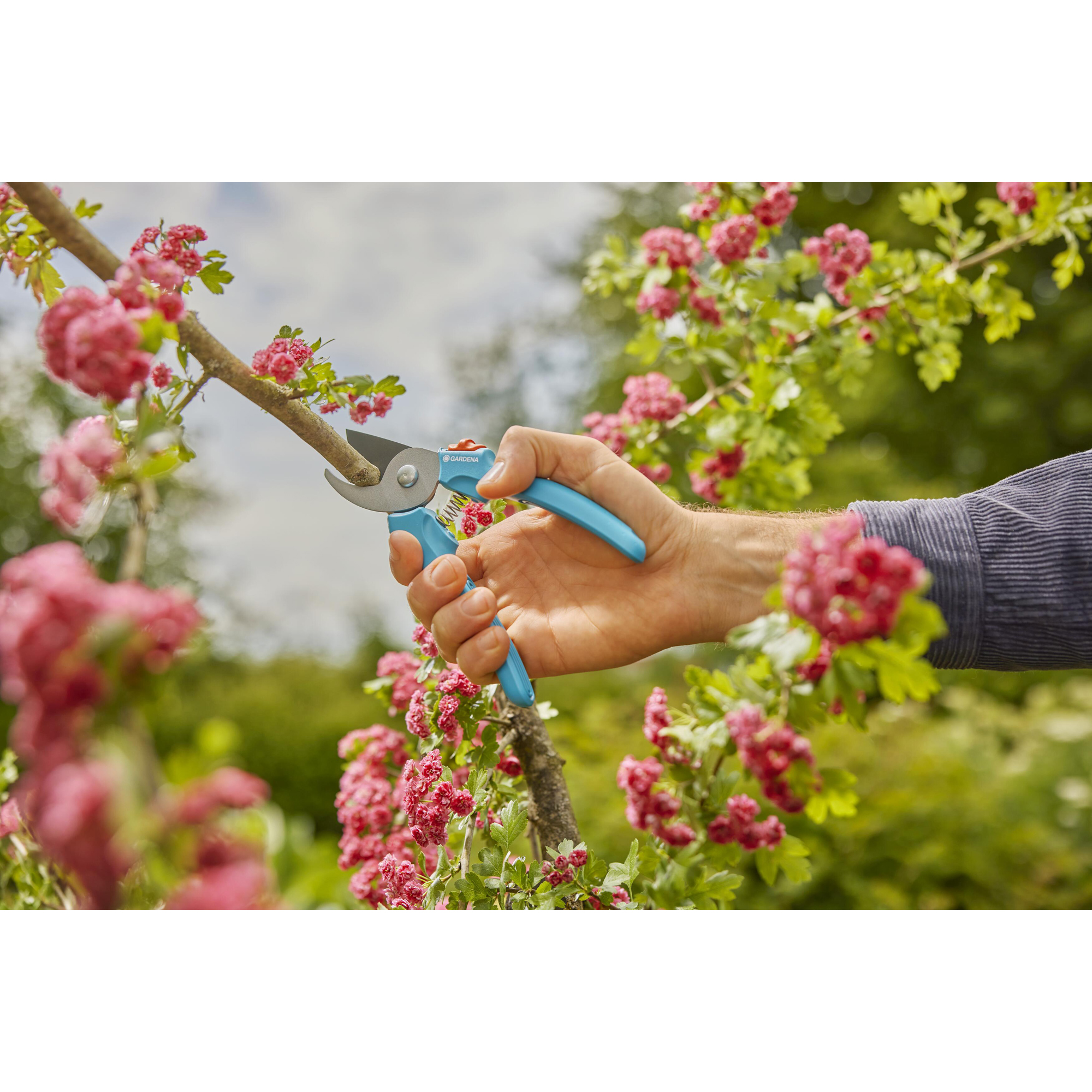 Sekatör Gardena EasyCut