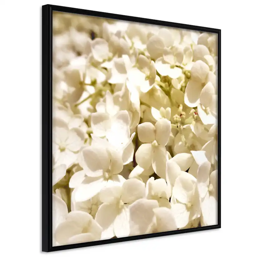 Poster Artgeist Affisch White Meadow