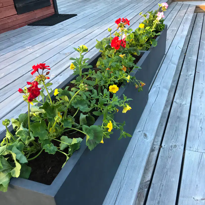 Blomlåda Lyfco Svart 100