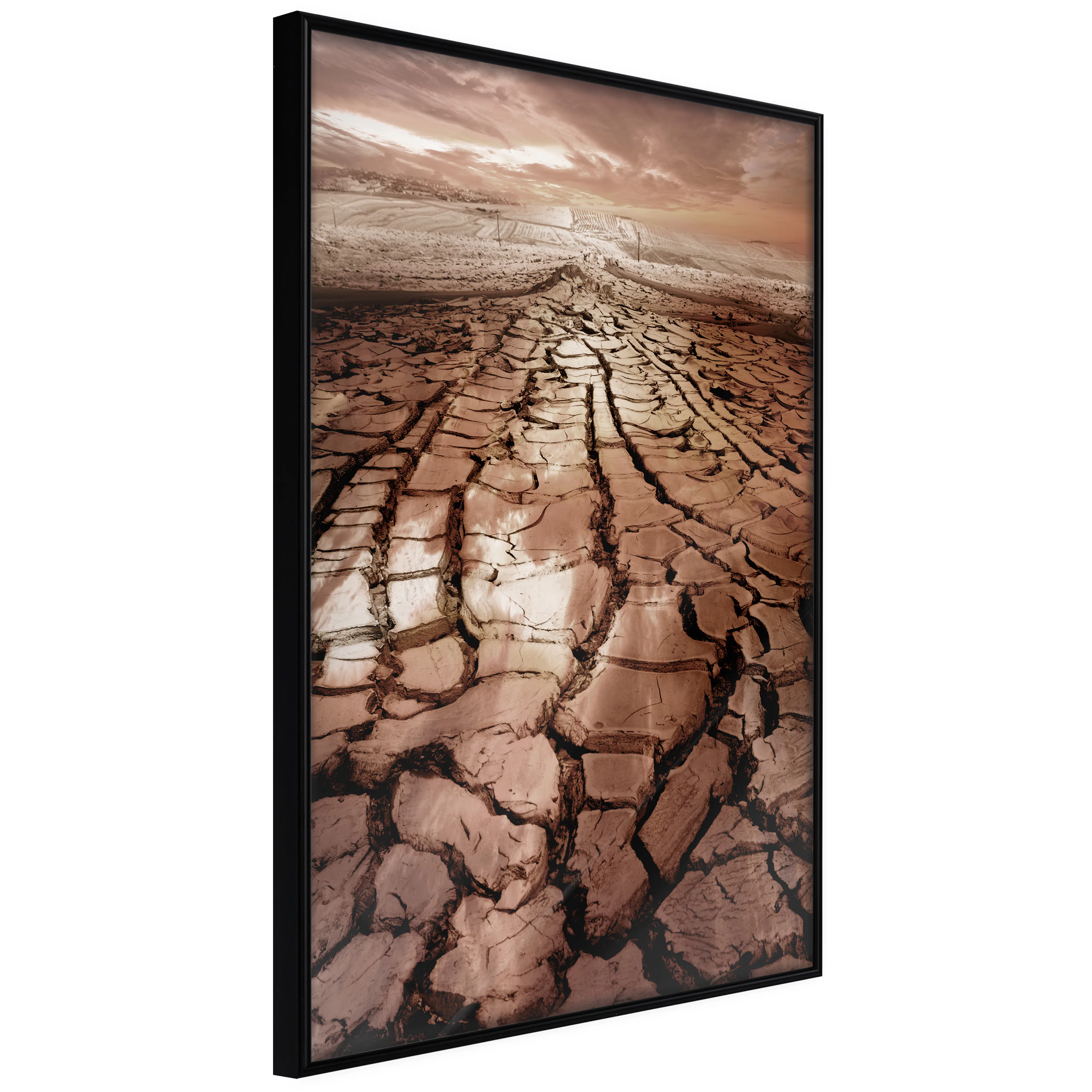 Affisch - Drought [Poster] 20x30 Svart ram, 20x30 cm