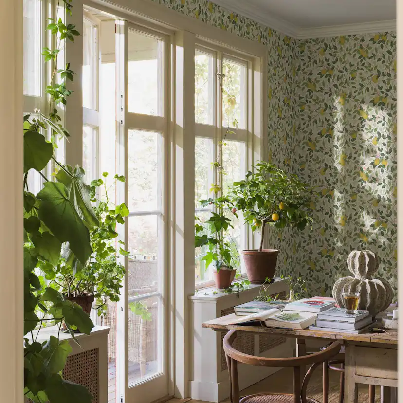 Tapet Boråstapeter Citronträd 5702