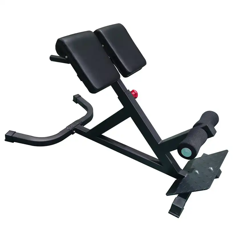 Ryggbänk Master Fitness