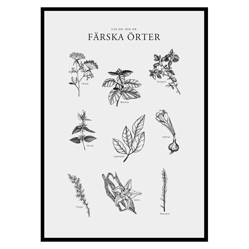 Poster Gallerix Färska Örter