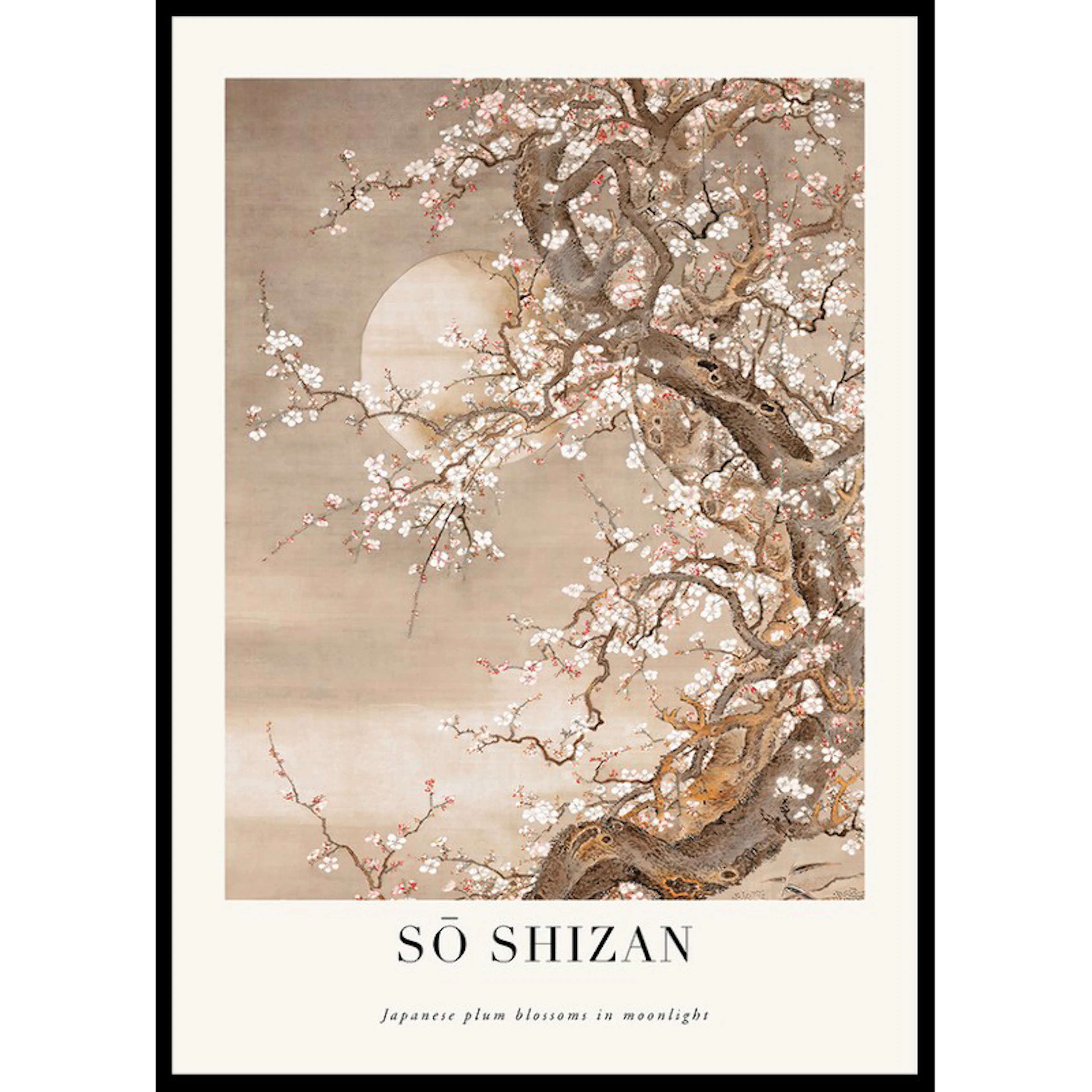 Japanese Plum Blossoms In Moonlight By Sō Shizan 70x100 70x100 cm