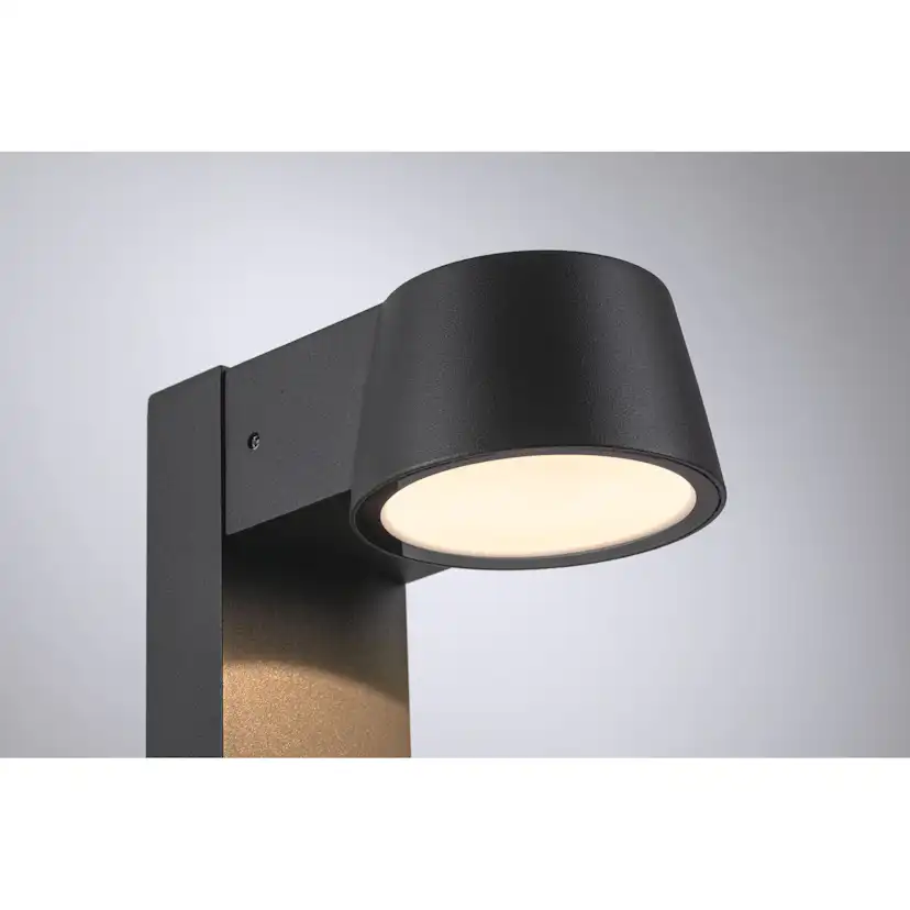Pollare LED Paulmann Capea IP44 230V Ljus: Gold Light (insektsvänlig)