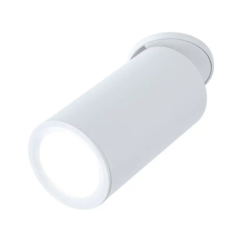 Downlight Paulmann Turnal