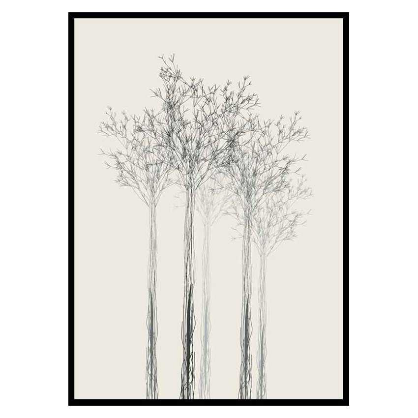 Poster Gallerix Sketched Trees