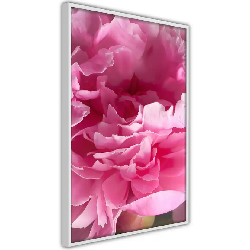 Poster Artgeist Affisch Beautiful Peonies