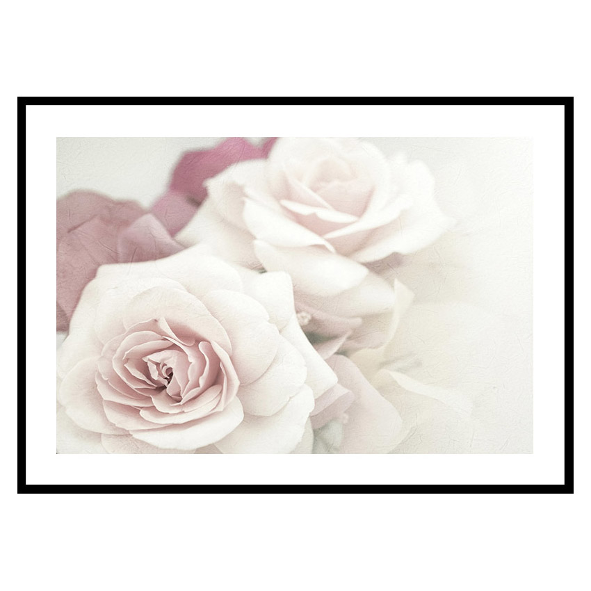 Poster Gallerix Perfect Pair Roses