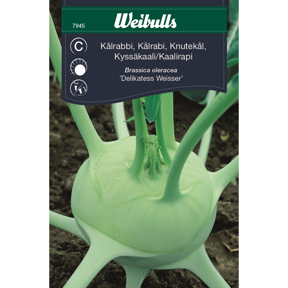 Frö Kål Weibulls Kålrabbi Delikat Weisser