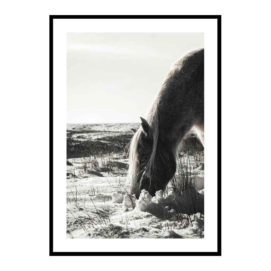 Poster Gallerix Winter Horse