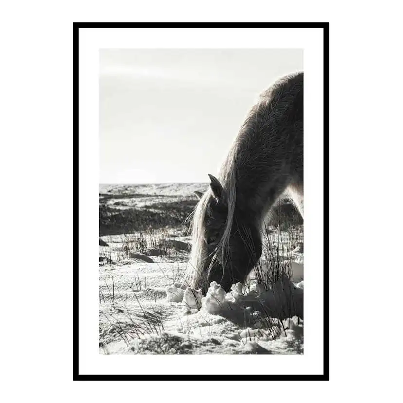 Poster Gallerix Winter Horse